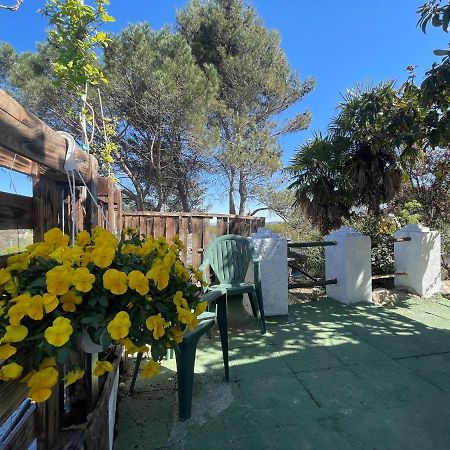 Casa Fidelina II Miraflores De La Sierra Eksteriør bilde
